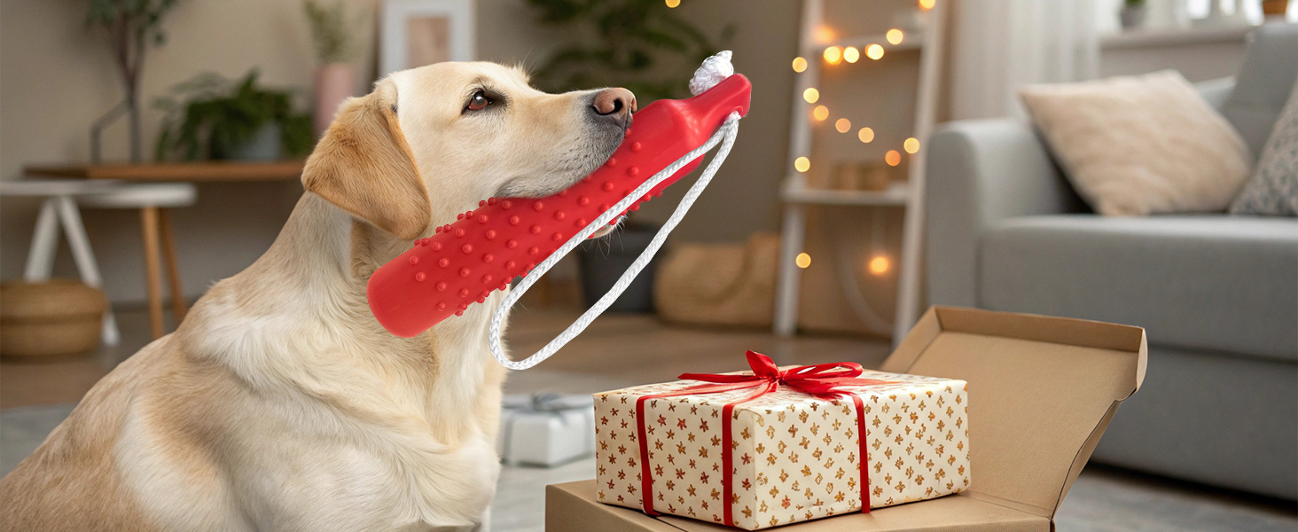 Dog Float Bumper Toy