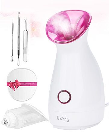 Facial Steamer
