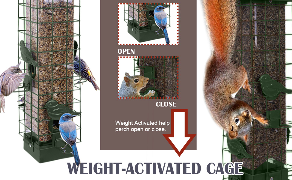 Bird Feeder for Outside