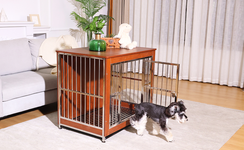 dog kennel indoor