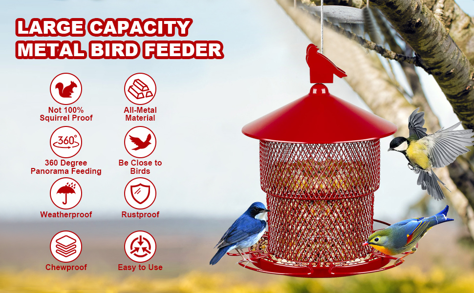 bird feeder