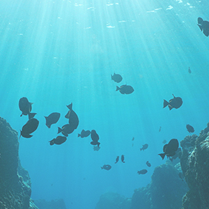 Small manufacture image 1