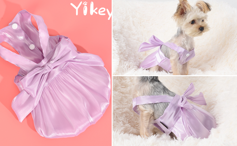 dog dress