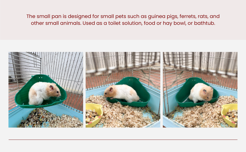 Small Corner Litter Box for Ferrets Rats Guinea Pigs