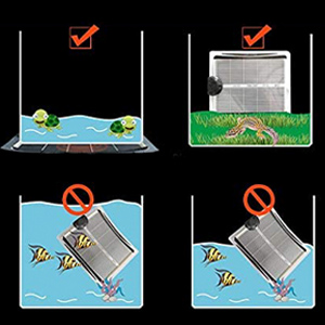 die Tiere, die im Wasser leben