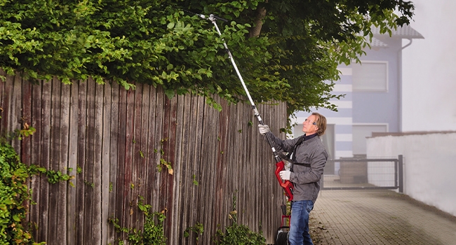 花卉20 Elektryczne nożyce do żywopłotu/piła na wysięgniku Einhell