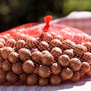 Small manufacture image 6