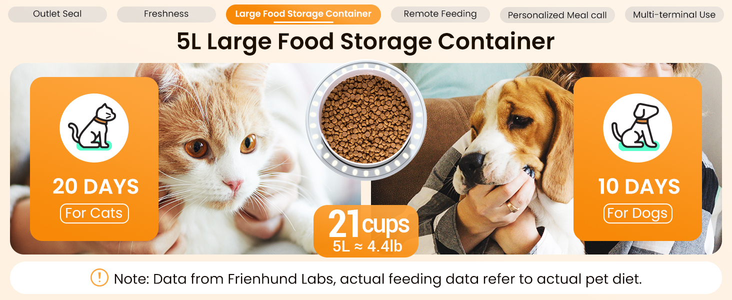 automatic cat feeder