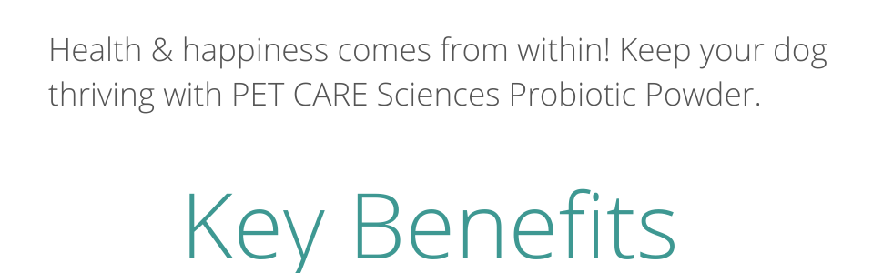 Key benefits- health and happiness comes from within! Keep your dog thriving with our product! 