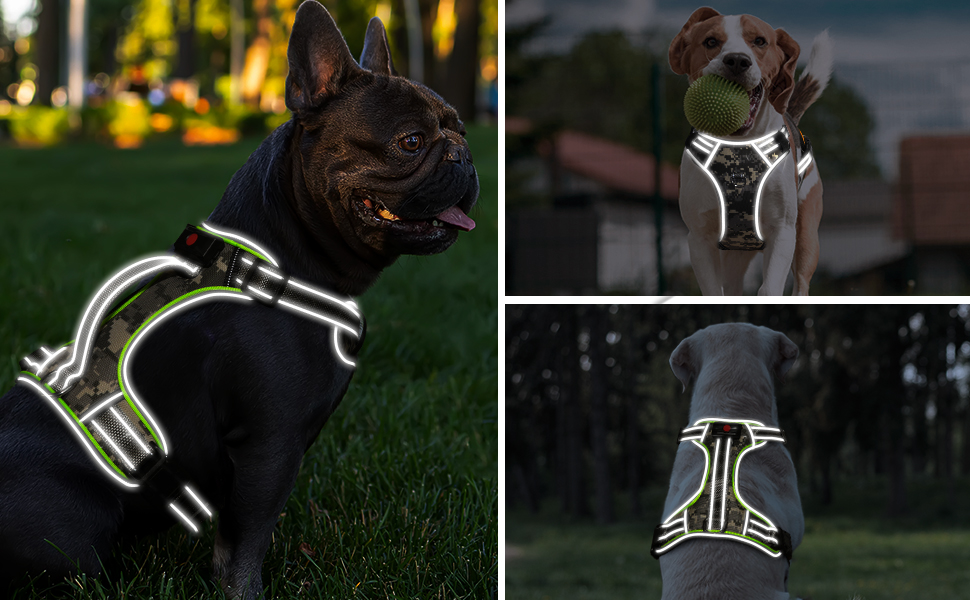 Light Up Dog Harness,LED Dog Harness No Pull with Soft Handle