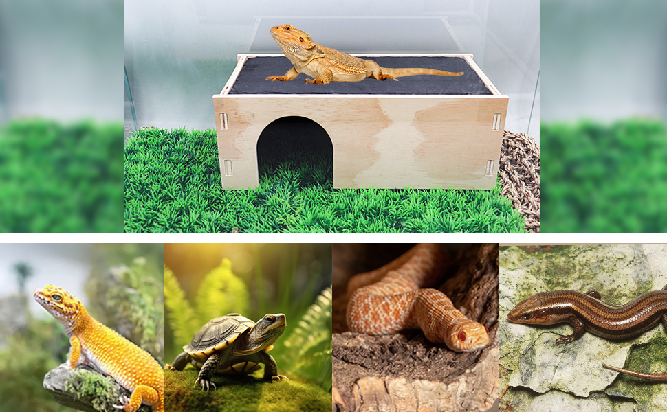 Gecko Hides and Caves, Reptile Tank Accessories for Bearded Dragons, Geckos, Ball Pythons, Tortoise