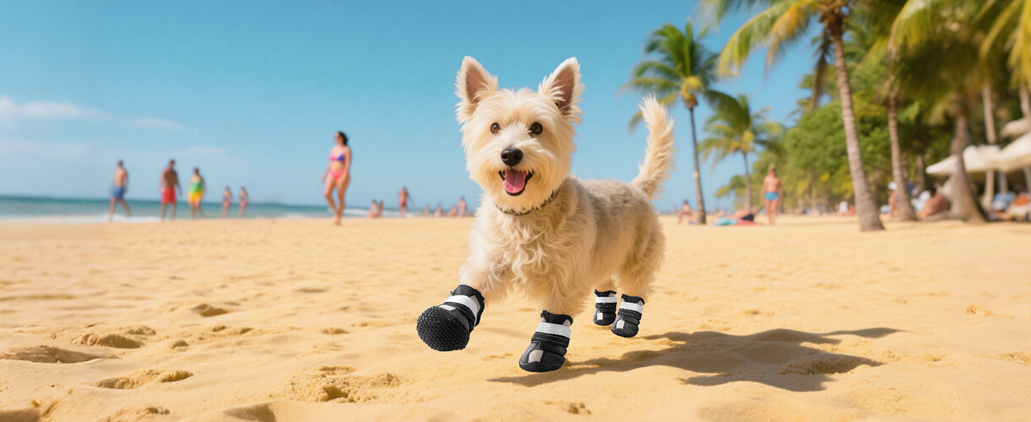 summer dog shoes