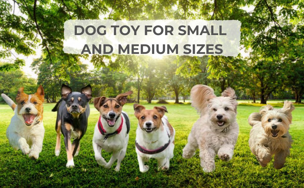 Dog Puzzles for Smart Dogs dog treat toys to keep them busy dog brain stimulation puppy puzzle toys