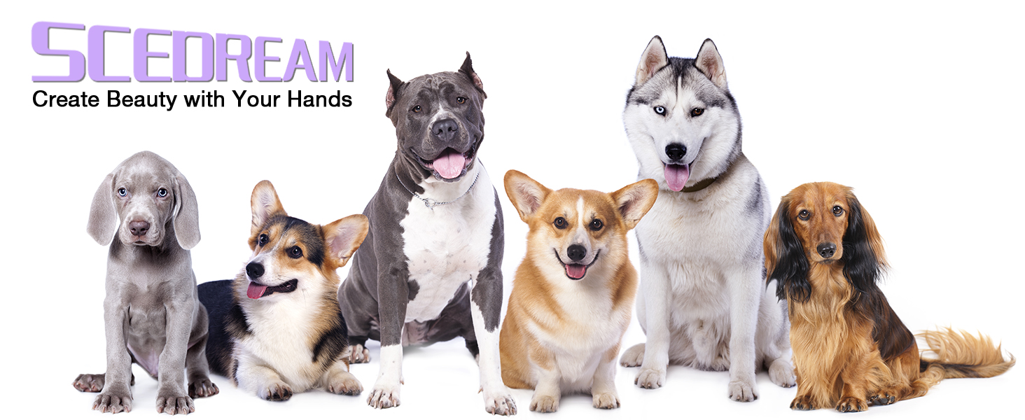 curved scissors for dog trimming scissors for grooming curved grooming scissors for dogs