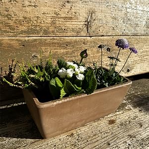 3個 大型　イタリア　テラコッタ鉢　植木鉢　寄せ植えガーデン雑貨ガーデニング 植木鉢 テラコッタ 浅鉢 おしゃれ 人気 おすすめ プランター