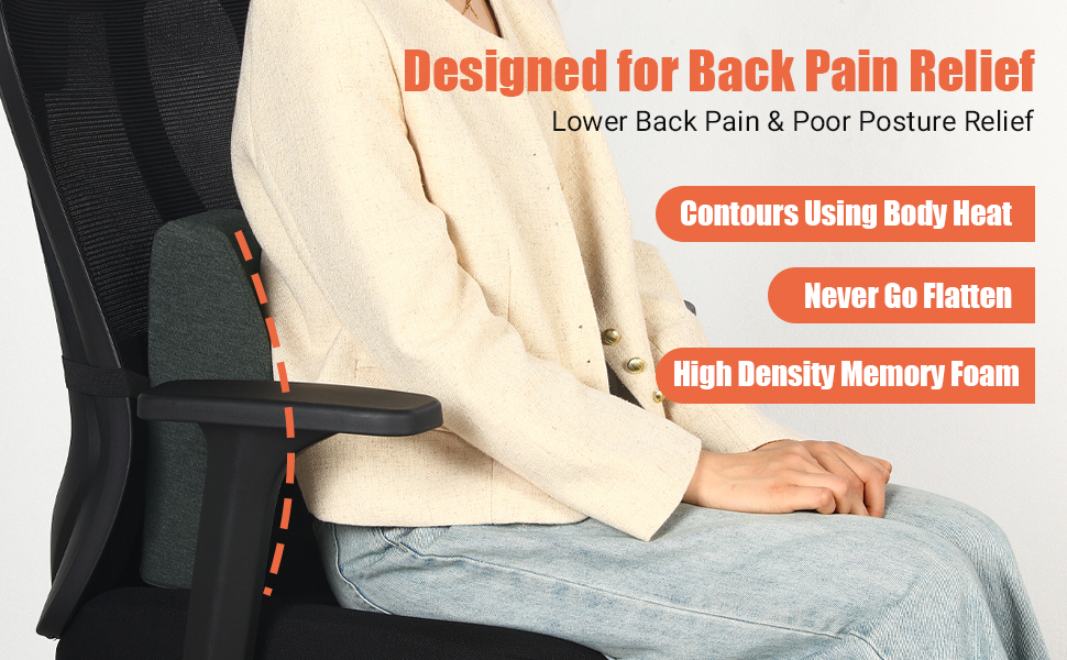 HOMBYS Recliner Lumbar Support Pillow with Adjustable Slider B0cccafa 54b2 4b61 B2e8 A0926d4ec2e4. CR0,0,970,600 PT0 SX970 V1