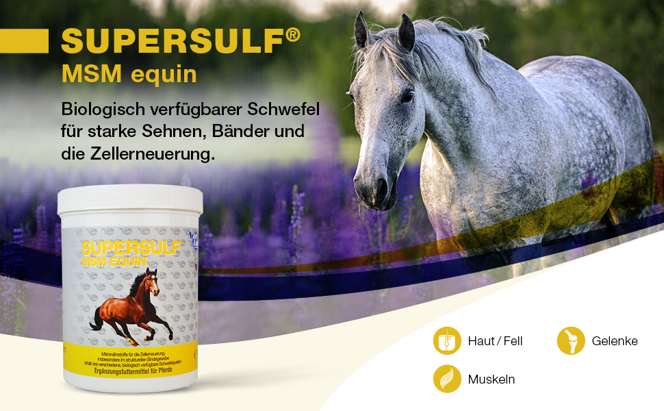 Titre Supersulf MSM equin