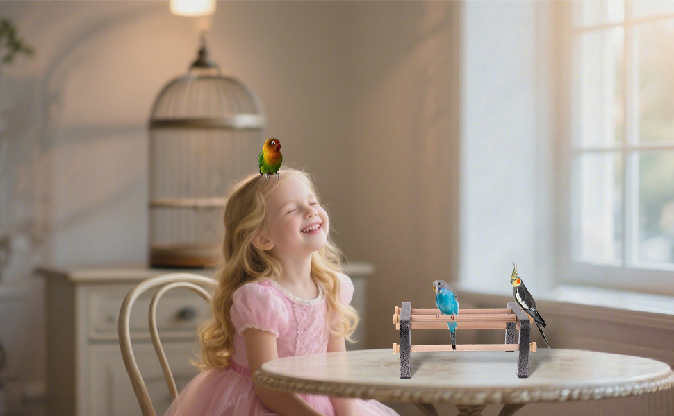 bird training perch small