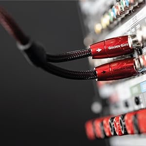 Amazon.com: AudioQuest Golden GATE 2 x Phono Plug to 2 X