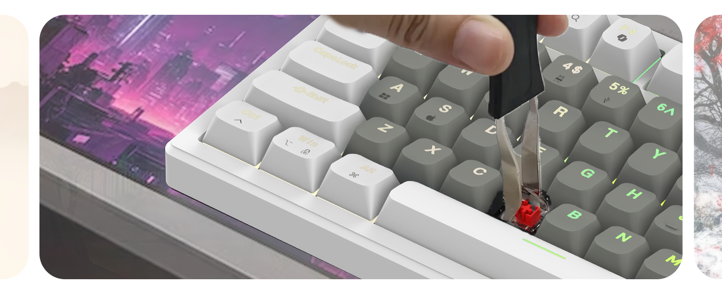 Evofox Ronin Wireless TKL Mechanical Keyboard