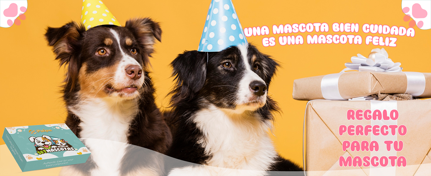 Grooming Kit for Dogs and Cats – Professional 5 Piece Set with Quiet Hair Clipper, Brush, Comb, Scissors & Vacuums – Complete Pet Care Kit at Home 18 de golosinas para perros con dos border collies con sombreros de fiesta. Cajas de regalo en primer plano, fondo amarillo brillante con texto en español