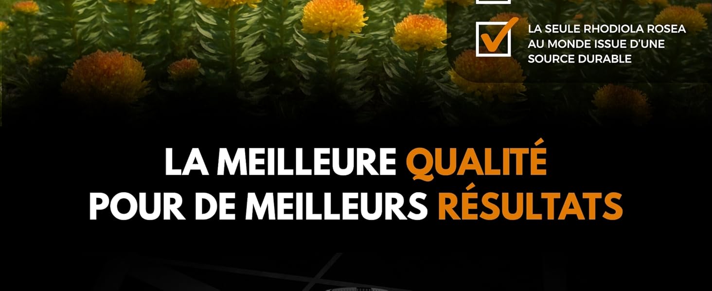 Scène sous-marine avec des plantes aquatiques vertes et des objets ronds et oranges ressemblant à des oursins ou à du corail. La superposition de texte en français met l'accent sur la qualité et les résultats
