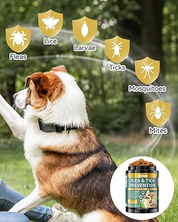 chewables for dogs