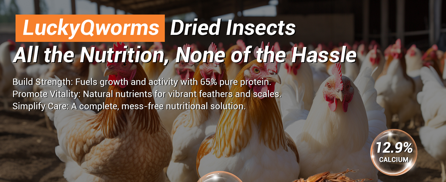LuckyQworms Dried insects 65% pure protein for pet strength and 12.9% calcium for health