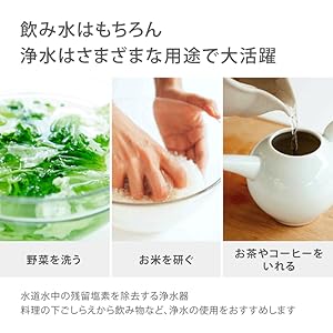 【はなはなさん専用】タカギ カートリッジ Amazon | タカギ(Takagi) 塩素除去カートリッジ (標準タイプ