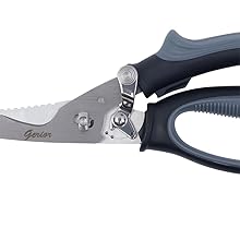 take apart kitchen shears for poultry game