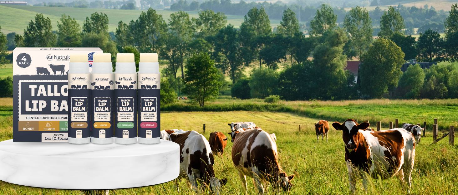 grass fed organic beef pure bison tallow honey beeswax lip balm chapstick salve lip lips care