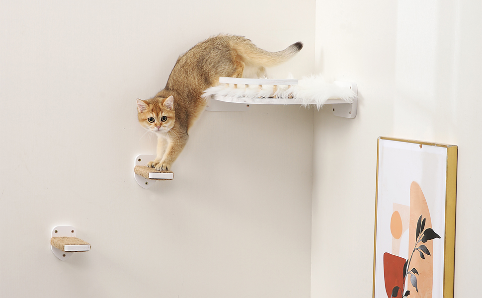cat wall mounted shelves and perches