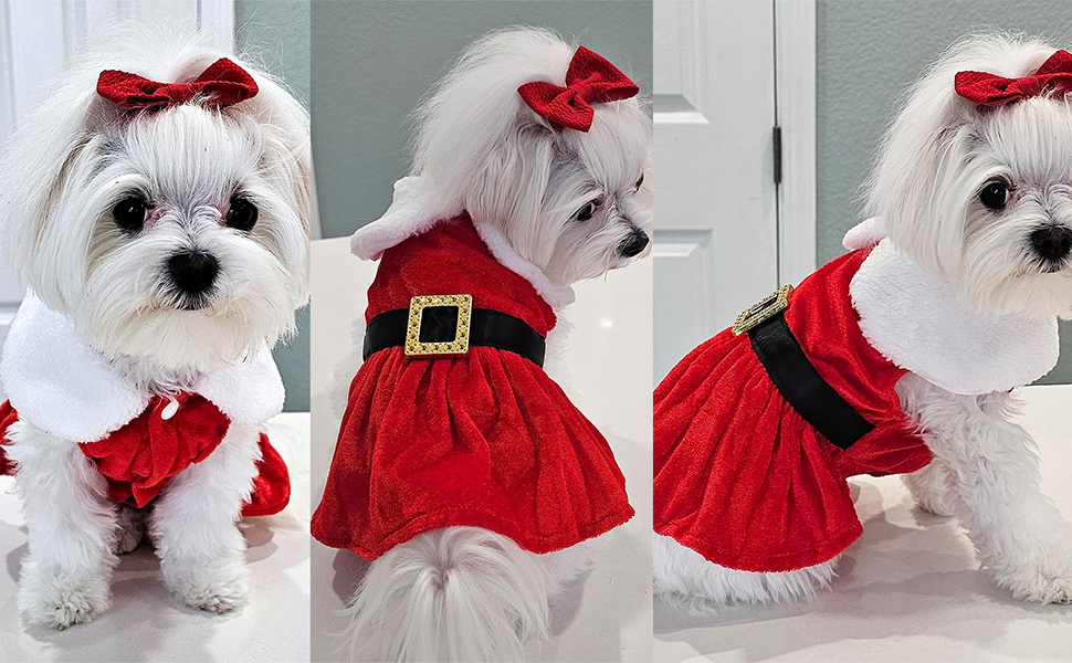 Dog Christmas Outfit,Dog Clothes for Small Medium Dogs