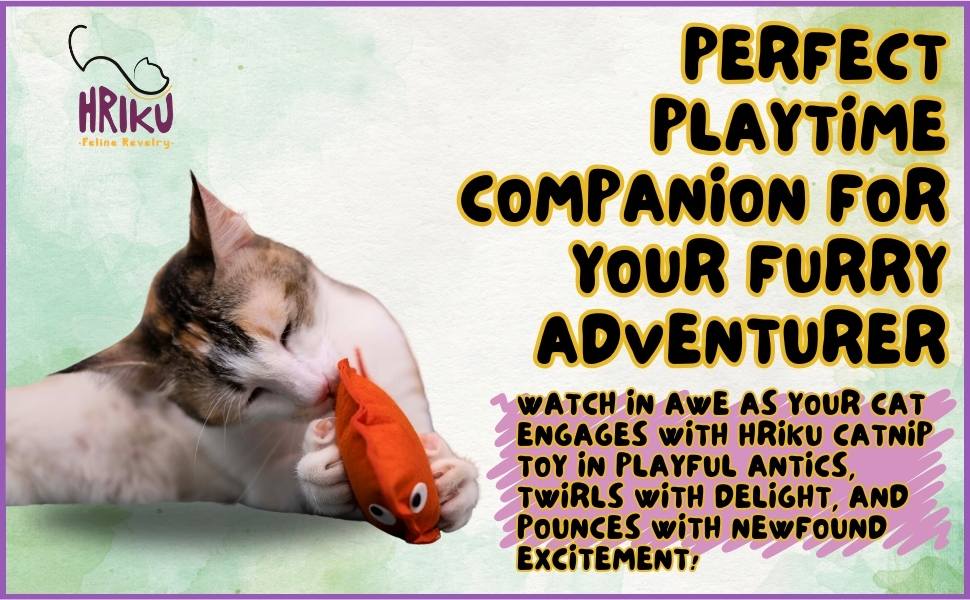 Cat Toy