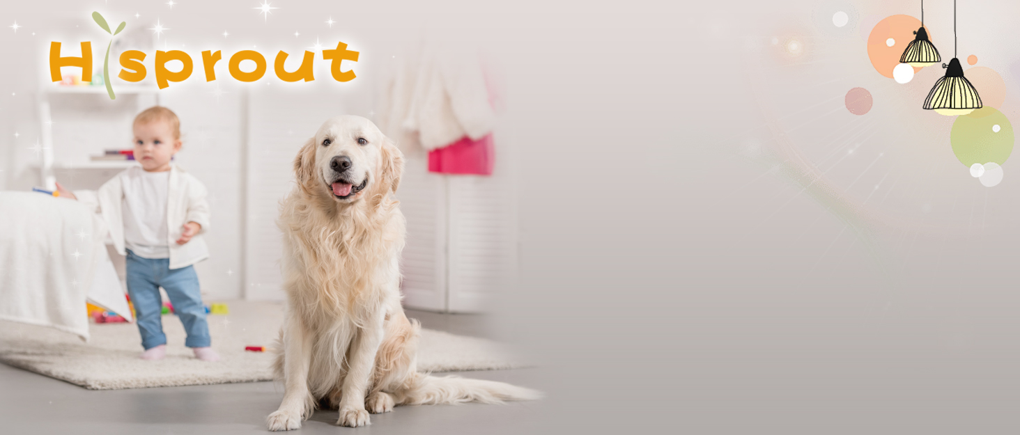 Hisprout Female Dog Diaper