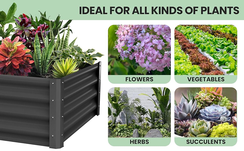 planter boxes outdoor