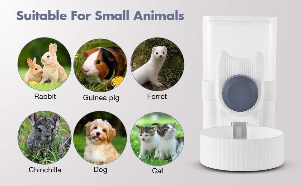 Guinea Pig Water Bottle