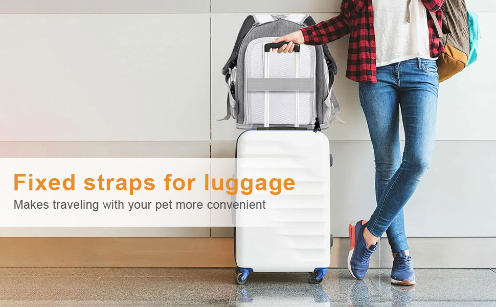 Cat Carrier Backpack