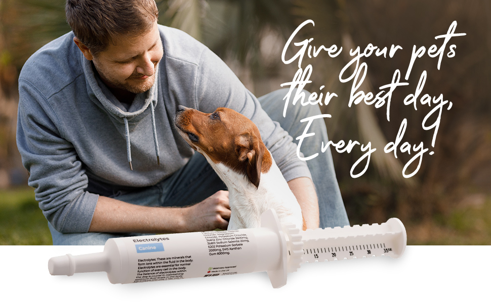 Anumul Electrolytes Dog Supplement 30g Dog Electrolytes in Convenient