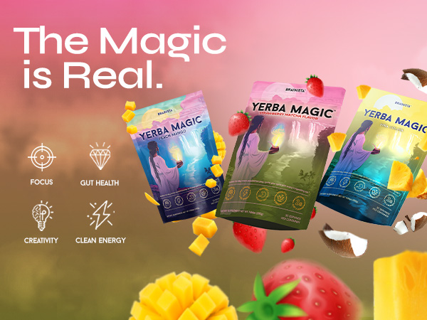 yerba mate tea energy drink powder for gut health and focus