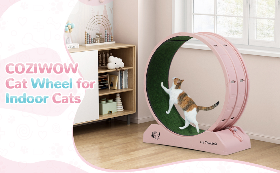 31.5" Large Cat Treadmill, Cat Exercise ... 10 cat wheel