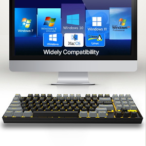 Keyboard compatibility with various operating systems