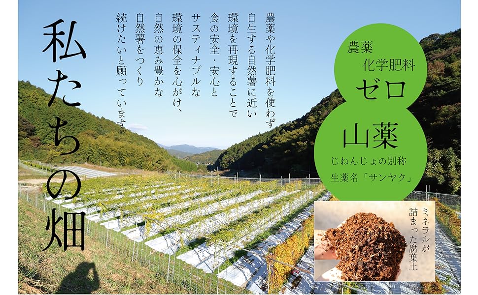 Amazon.co.jp: 筥崎とろろ 自然薯 だしわりとろろ 冷凍 個包装