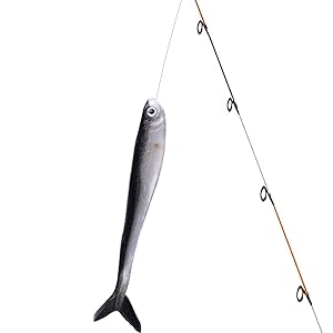 Amazon.co.jp: 10本入り 8cm 釣り用ルアー バス釣り ソフト