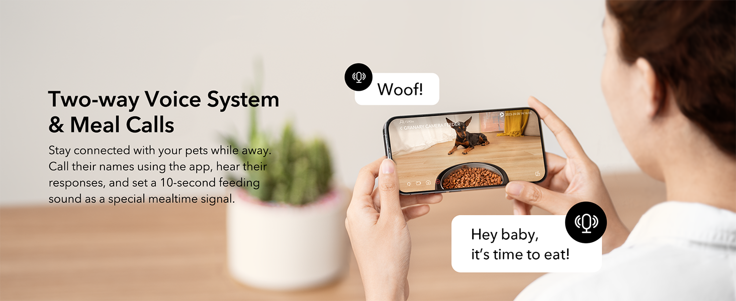 Comedero automático para perros con cámara