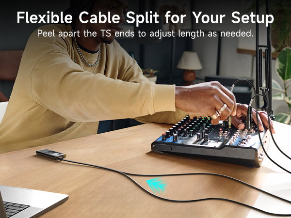 TRS to Dual 6.35mm TS Breakout Cable