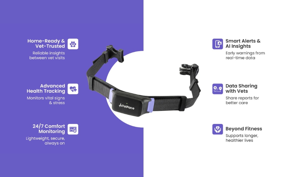 Heart Rate & Pulse – Detects irregularities and signs of distress.