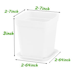 plant seeding pot