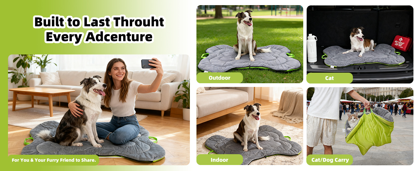 dog mat