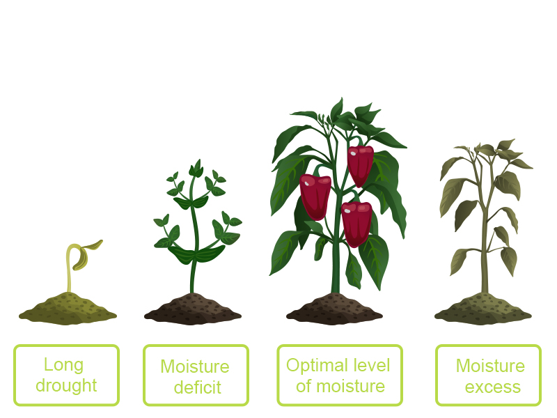 Large manufacture image 6